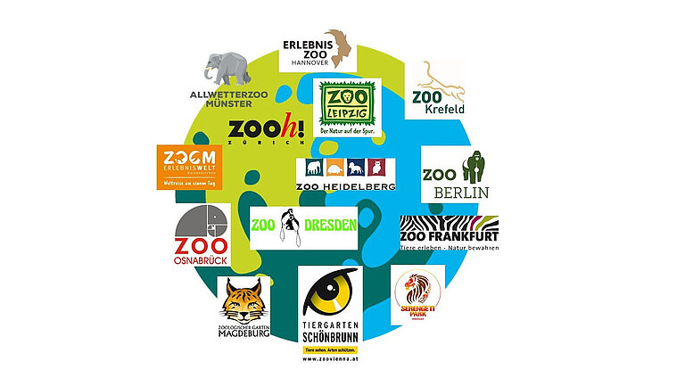 GrApeNet-Zoo-Network.jpg  