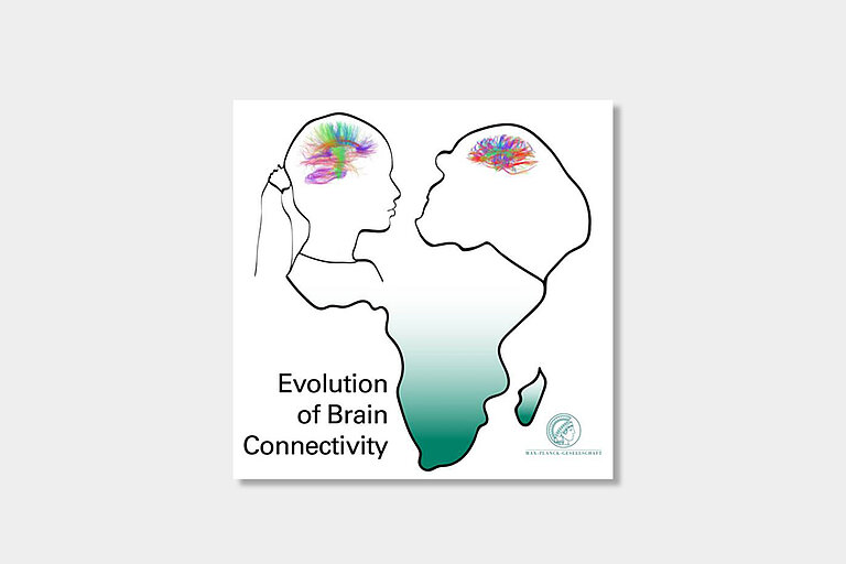 Evolution_of_Brain_Connectivity.jpg  