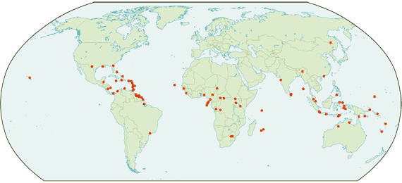 map of creole languages