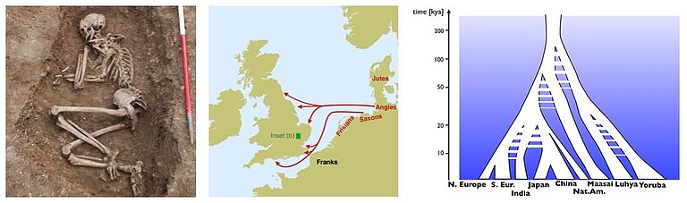 historical-genetics-images.jpg  