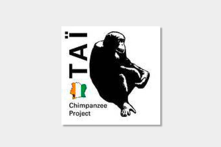 Taï_Chimpanzee_Project.jpg  