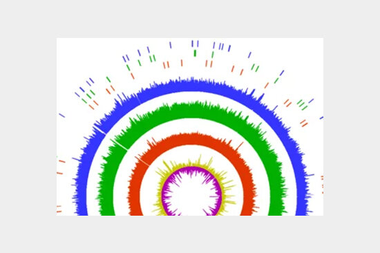 RG-computational-pathogenomics.jpg  