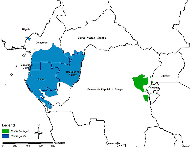 Map-gorilla_subspecies--no-field-sites2.jpg