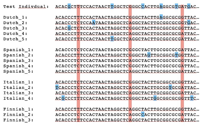 Schematic showing a test genome compared to various reference genomes, with common and rare genetic variants marked.