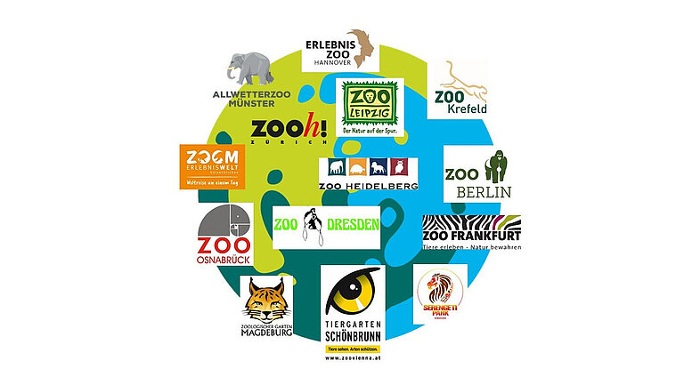 GrApeNet-Zoo-Network.jpg  