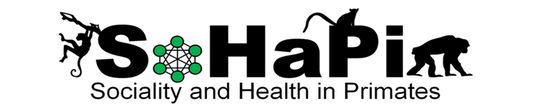 logo_SoHaPi.png  
