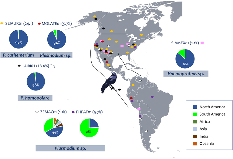 Pacheco_et_al_journal.pone.0268161.g002.PNG  