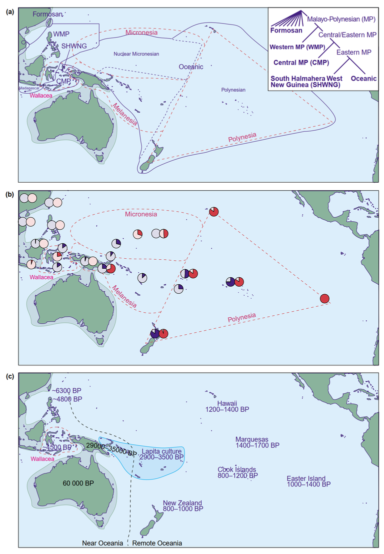 hurles_et_al_2003_fig_1.png  