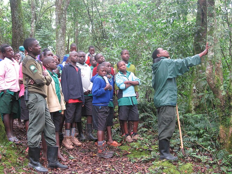 ForestWalk2011.JPG