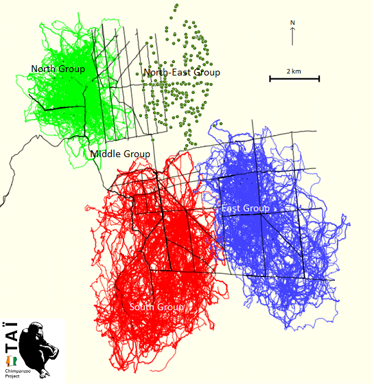 MapTai2.bmp  
