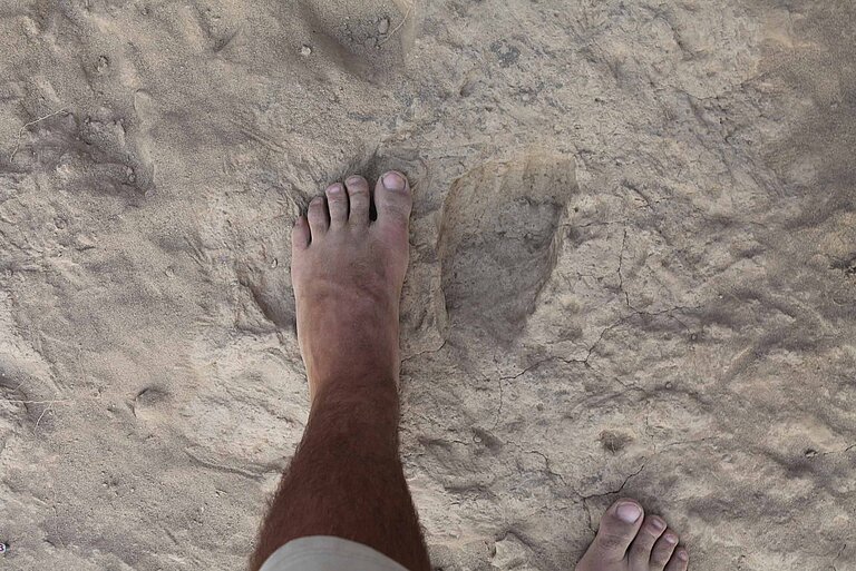 Fossil_footprint_and_modern_foot_small_01.jpg  