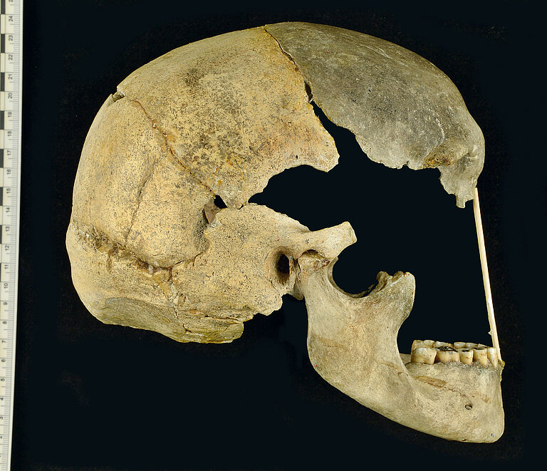 5_Skull_Zlaty_kun_photo_Marek_Jantac_4096-3520-max_M.jpg  