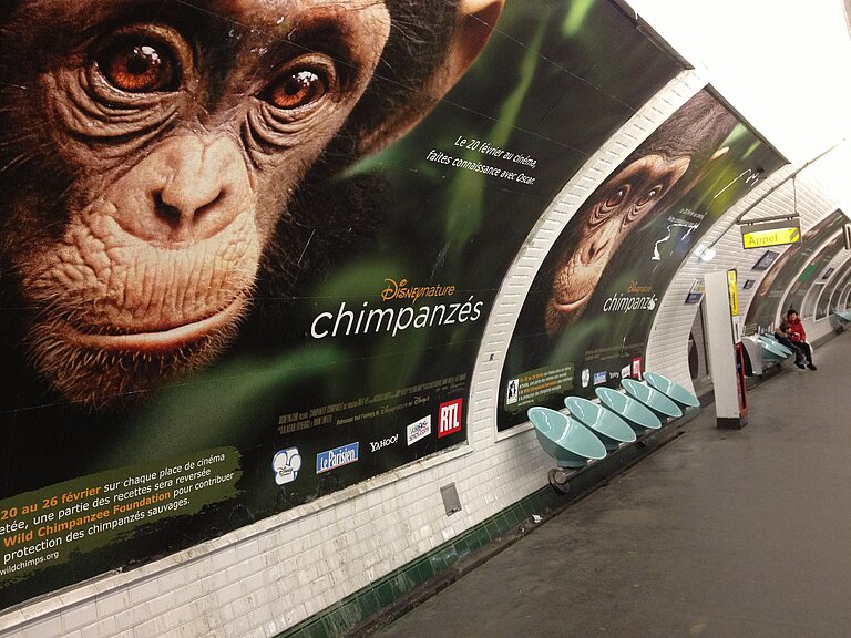 Paris_metro.JPG