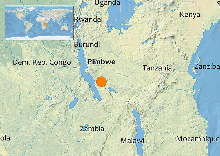 PIM-Pimbwe.jpg  
