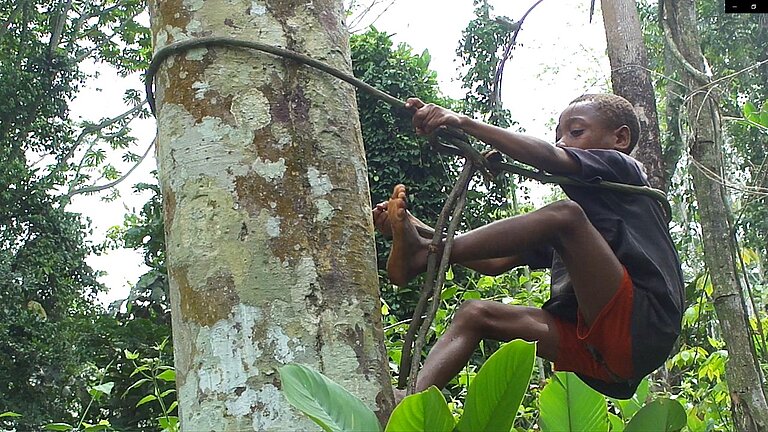 boy_climbing_with_gear_byJanmaat.jpg  