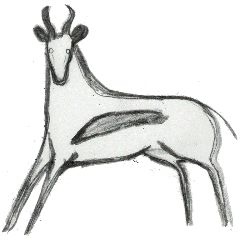 springbok.gif