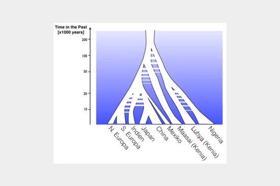 RG-population-genetics.jpg  