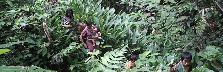 Cave-Punan.jpg