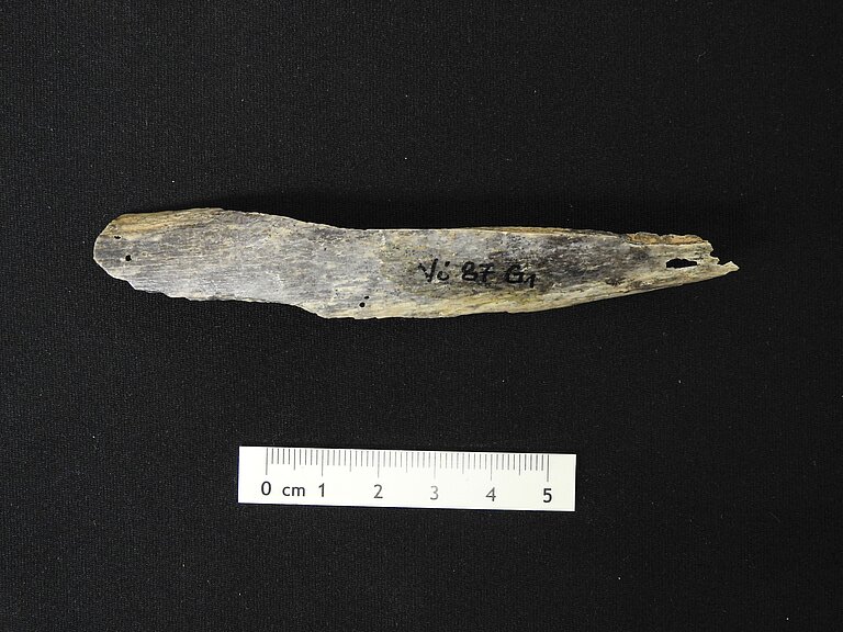 Bone_fragment_of_a_female_Neandertal_from_Vindija_cave_Croatia.JPG