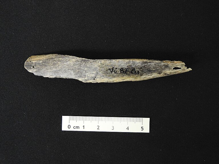 Bone_fragment_of_a_female_Neandertal_from_Vindija_cave_Croatia.JPG  