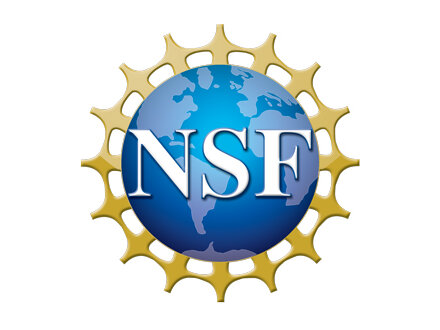 logo-NFS.jpg