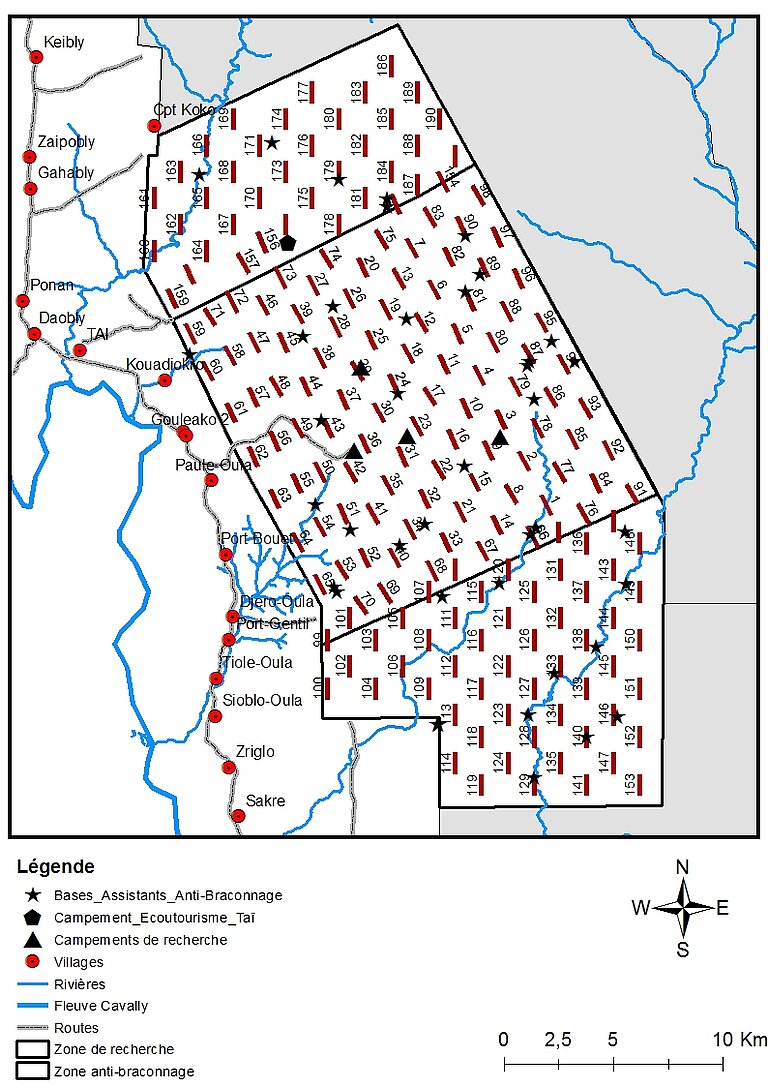 Carte_Anti-braco_191_Tr.jpg  
