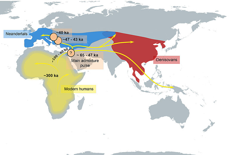 Figure1_Neandertals_Denisovans_humans_map.jpg  