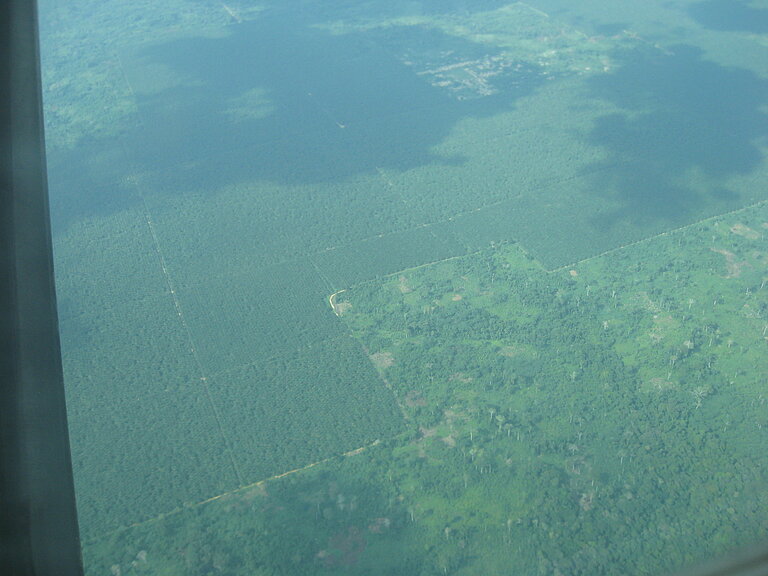 Picture_258_300.jpg