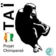 Logo_Tai.jpg