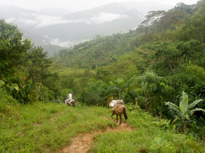 western_colombia.jpg  