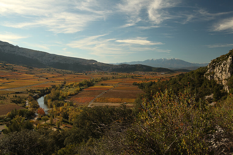 01_View_of_the_valley_from_the_Caune_de_l_Arago_cave.jpg  