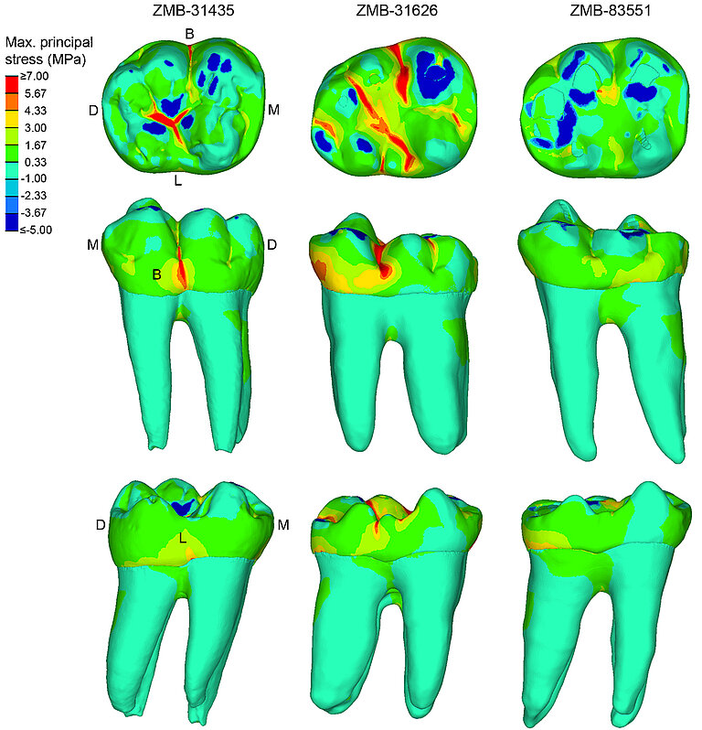 Figure_5_01.jpg  