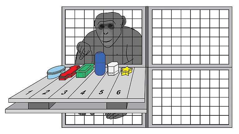 Voelter_et_al_ProcB_fig1.jpg  