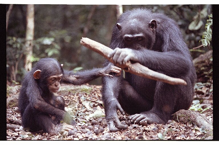 hadza4.jpg