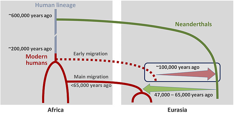 neanderthalAmixture_02.jpg  