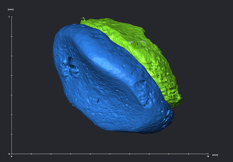 phalanx_oblique_small_02.jpg  