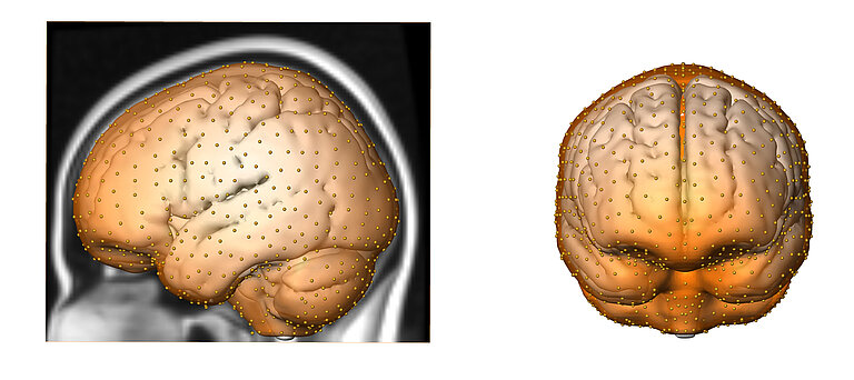 6_Modern_Human_MRI_Scan.jpg  