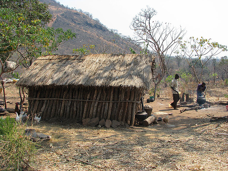 Pimbwe_03.jpg