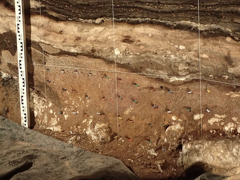 Locations of sediment samples in the South Chamber