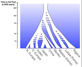 population-genetics.jpg  