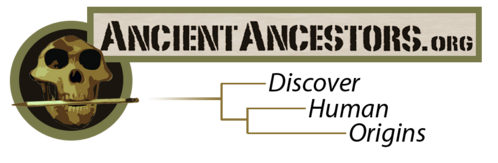 AncientAncestors.png  