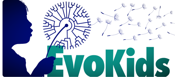Evokids__1___2_.png