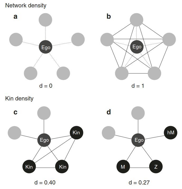 Colleran_2020_NatComms_MarketIntegrationKinDensity.jpg