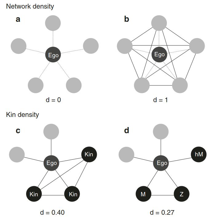 Colleran_2020_NatComms_MarketIntegrationKinDensity.jpg  