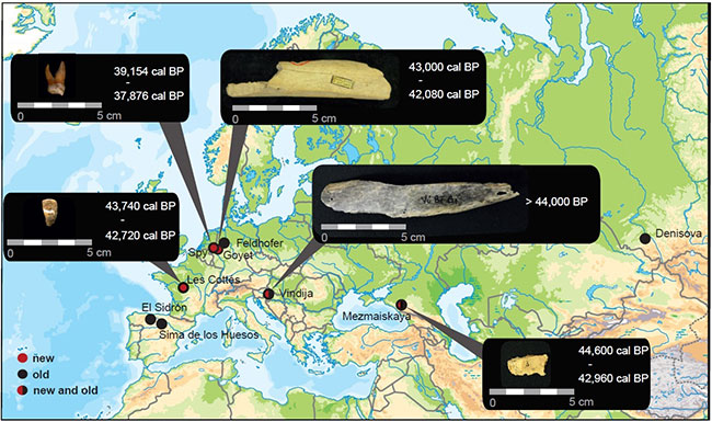 late_Nea_figure1.jpg  