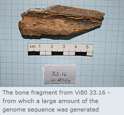 bone_sample.jpg  