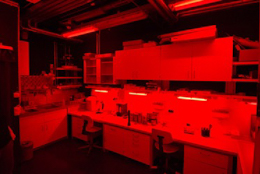 Luminescence_dating_Lab_1.jpg