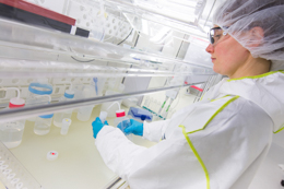 clean_lab_picture_3.jpg