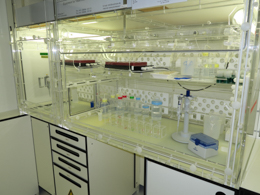 clean_lab_picture_4.jpg