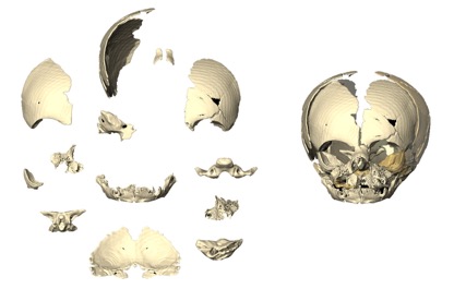 Neandertal_Adaptations_1.jpg
